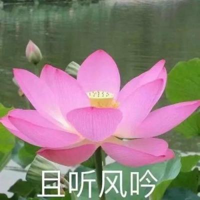 新剧｜赵今麦、张凌赫主演《度华年》，明天开播